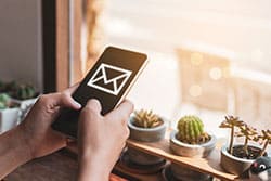Book your appointment feature